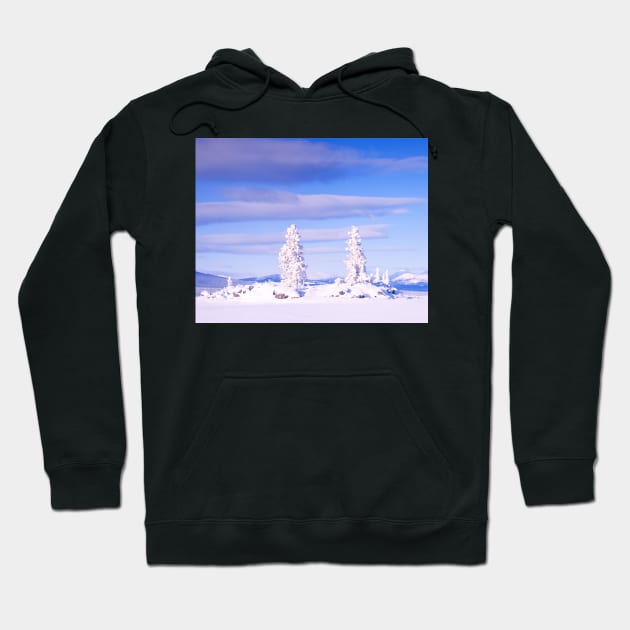 Snowy Honey Moon Island, Tagish Lake, YT, Canada Hoodie by ImagoBorealis